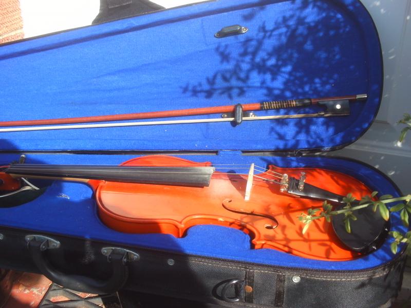 Student Violin